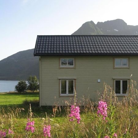Charming House By The Sea, Lofoten! Laupstad المظهر الخارجي الصورة