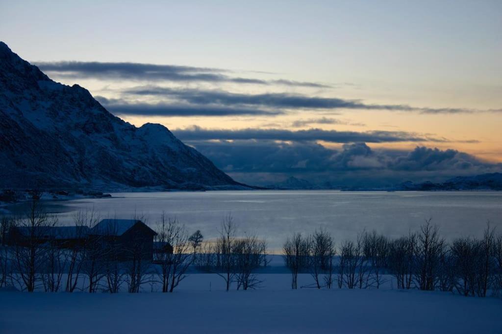 Charming House By The Sea, Lofoten! Laupstad المظهر الخارجي الصورة