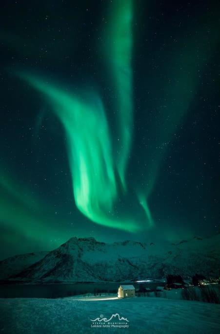 Charming House By The Sea, Lofoten! Laupstad المظهر الخارجي الصورة